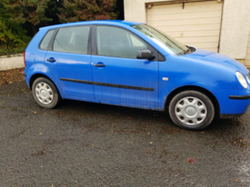 polo cookstown